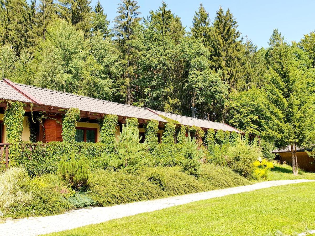 Resort Lesni Lazne Zvánovice 外观 照片