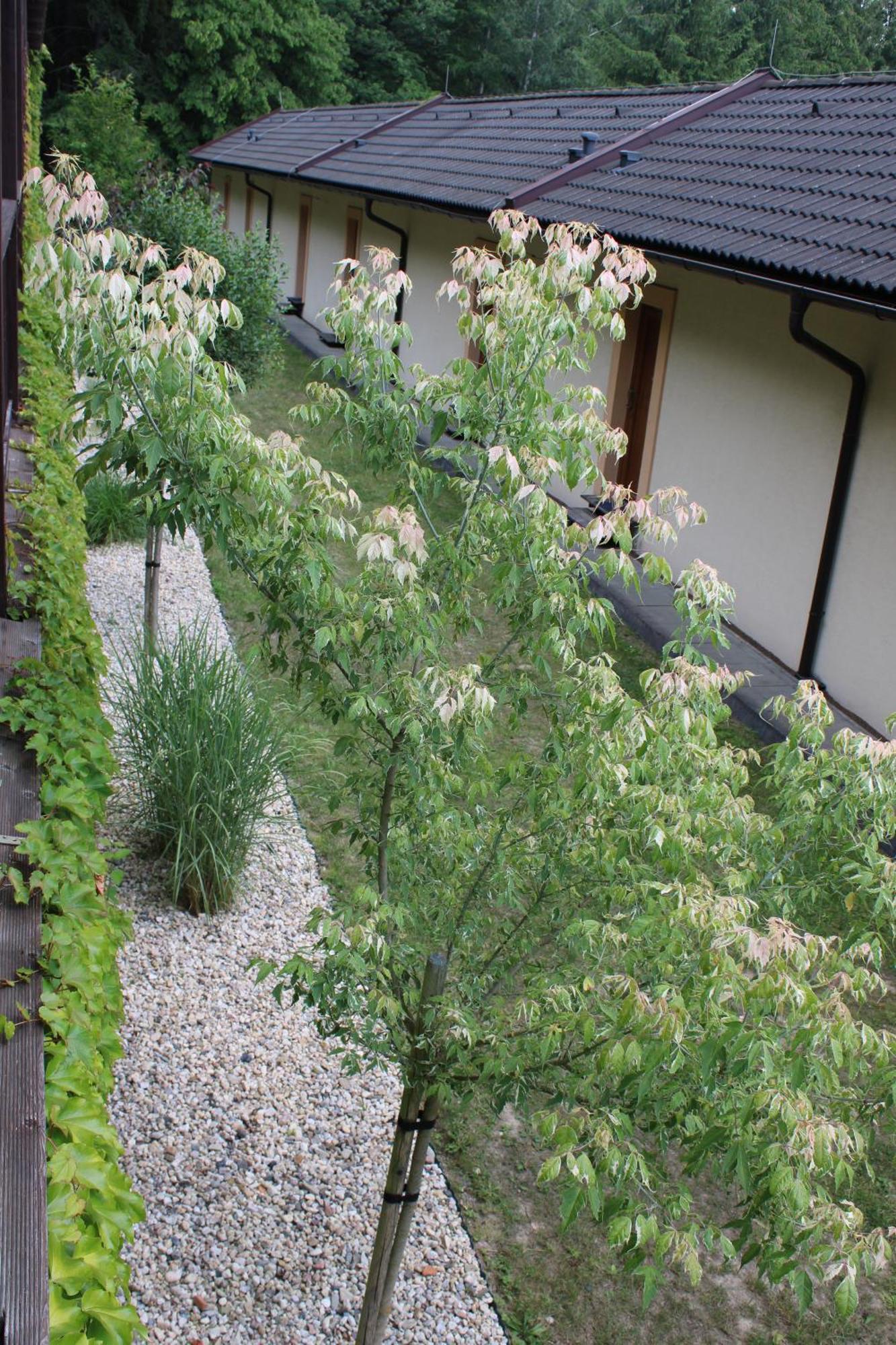 Resort Lesni Lazne Zvánovice 外观 照片