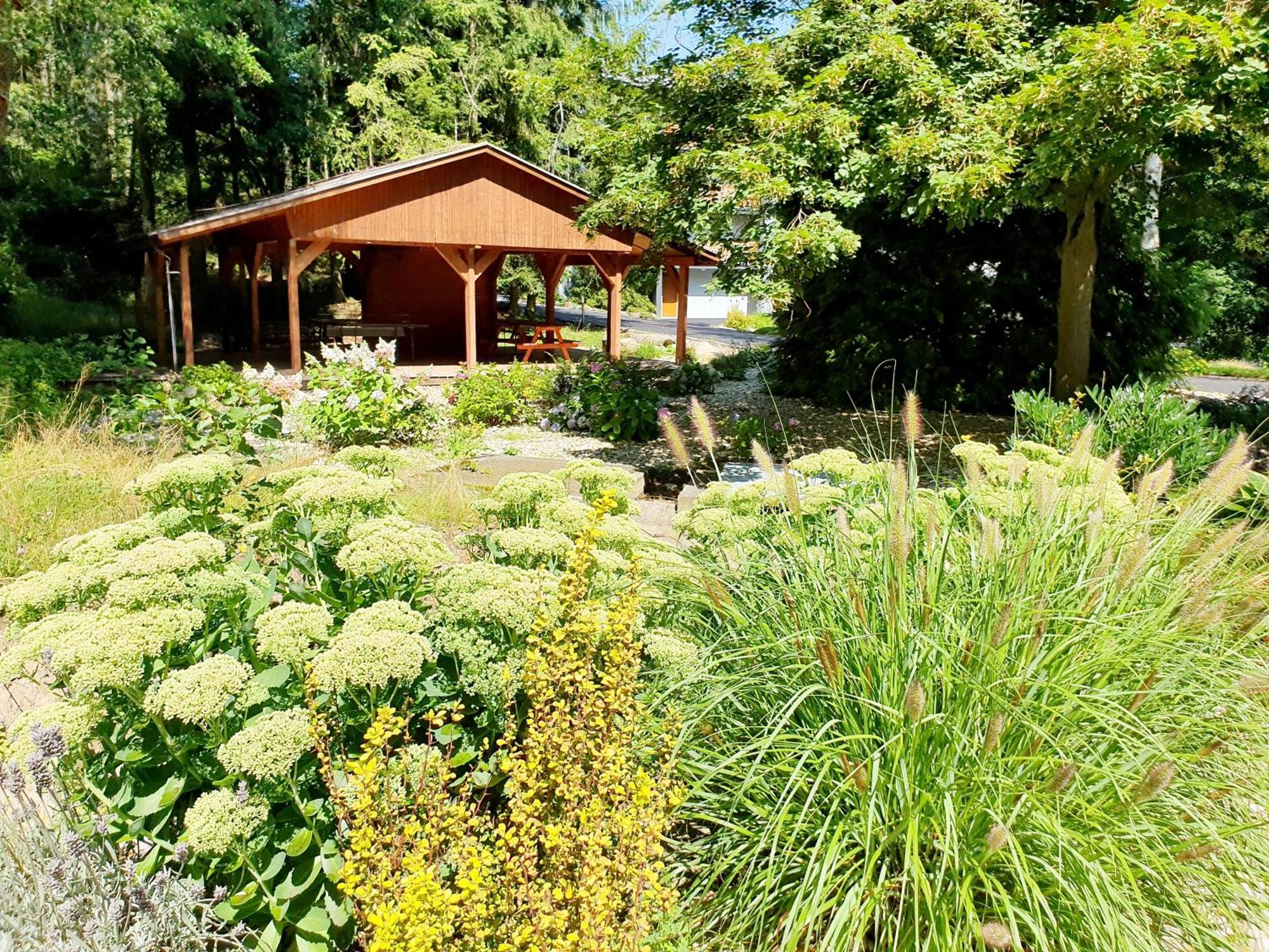 Resort Lesni Lazne Zvánovice 外观 照片